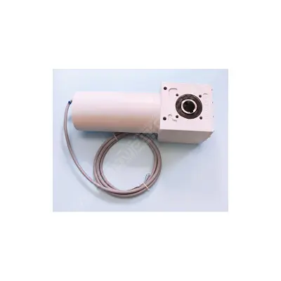 Moteur fosse sèche 250Nm IP68