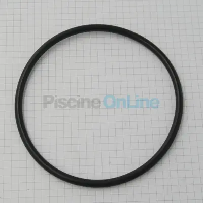 Joint de couvercle pour pompe SILEN 1 (185758)