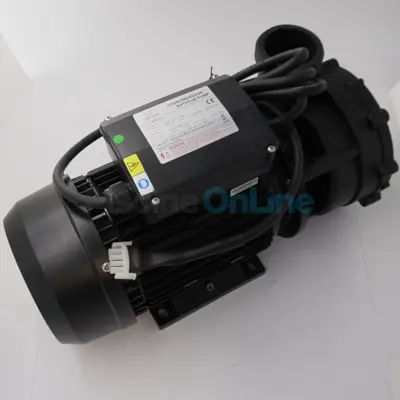 Pompe hydromassage Dual WP250-II 220V 50Hz pour Spa (RPOR0408)