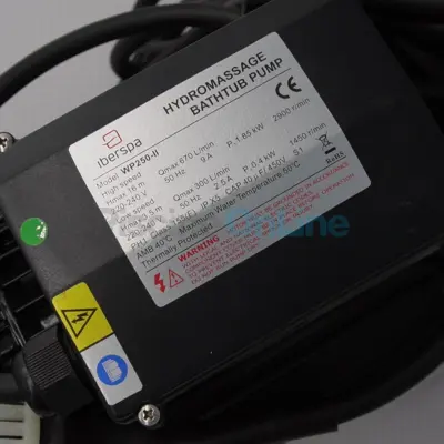 Pompe hydromassage Dual WP250-II 220V 50Hz pour Spa (RPOR0408)