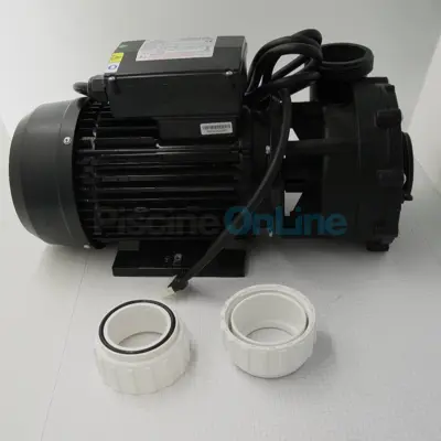 Pompe hydromassage Dual WP250-II 220V 50Hz pour Spa (RPOR0408)