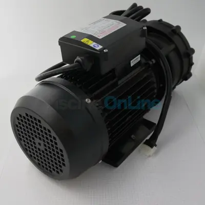 Pompe hydromassage Dual WP250-II 220V 50Hz pour Spa (RPOR0408)