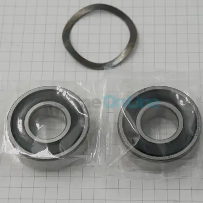 Roulements (x2) 6202 AV/AR pour pompe Sena. Victoria. Glass Plus 1-1.5 CV - avec Rondelle (4405010135)