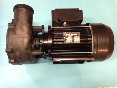 Pompe Hydromassage EURO EXECUTIVE 2" x2" 2 vitesses 10,8/2 A 2,38/0,43 kW