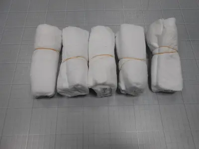 Filtres lavables (x5)