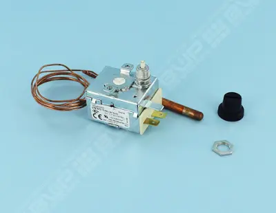 Thermostat de sécurité