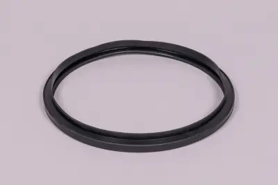 Joint de filtre Hayward