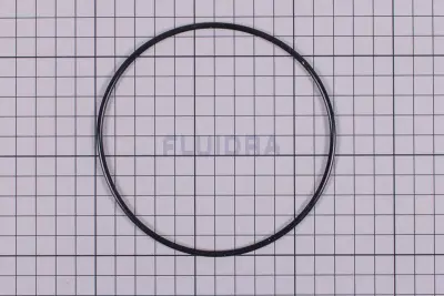 Joint torique pour cône Aquaranger et Dolphin