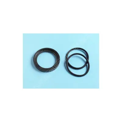 Adaptateur d'étanchéité FILTRE SAB S0360SE/S0310SXE/S0360SXE (HAYWARD)