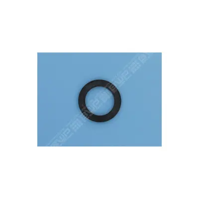 Bague de Traversée Filtre SAB Azur Side (PENTAIR)