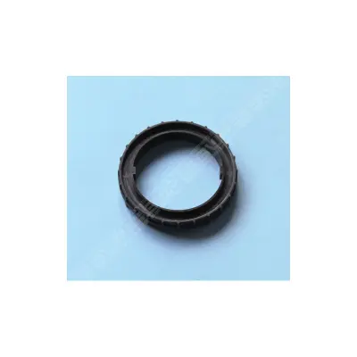 Bague de Traversée FILTRE SAB Triton NM/Clear Pro 19" & 24" (par 2) - Remplace RTTADR (PENTAIR)