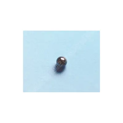 Bille Ø6.35 Inox 316 (MICRODOS)