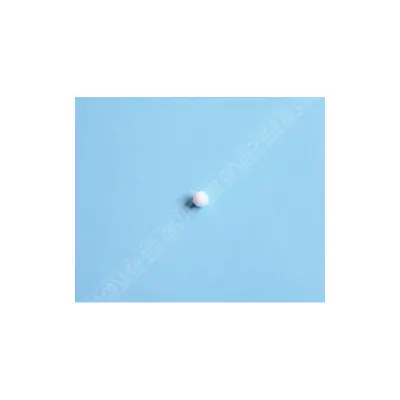 Bille Ø6.35 Teflon (MICRODOS)