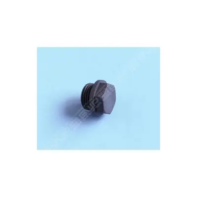 Bouchon 15/21 (sans joint WJW01667) (Zodiac)