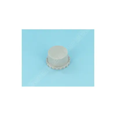 Bouchon de valve de régulateur Sand Shark (STA-RITE)