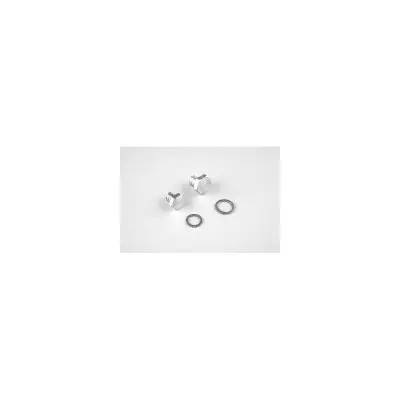 Bouchon de Vidange PPE Fonte 3000 tr/mn - 5.5 à 15 CV. x2. avec Joints (ASTRAL)