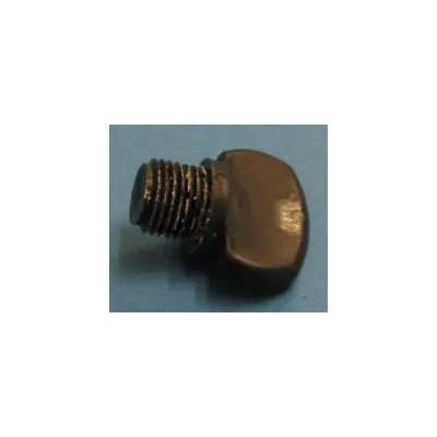 Bouchon + joint de vidange PPE Whisperflow/Superflo (x2) (PENTAIR)