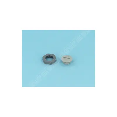 Bouchon PEP PG9 gris - Remplace 101265 (ASTRALPOOL)