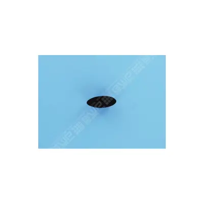 Bouton en caoutchouc (Pentair)