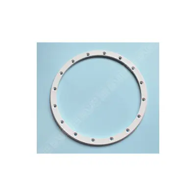 Bride PROJ Std/PS 300 W + vis métriques - Remplace 4403012411 (Astral)
