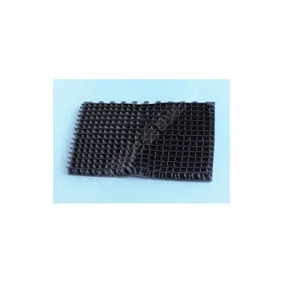 Brosse picot Aquavac/Tigershark/eVac/SharVac (HAYWARD)
