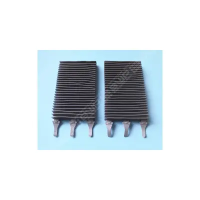 Brosse type 2 R9022 (x2) (ZODIAC) -REMPLACE W2036A