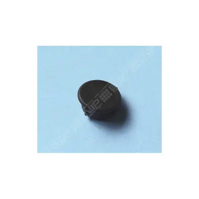 Cache vis de corps de pompe (MICRODOS)
