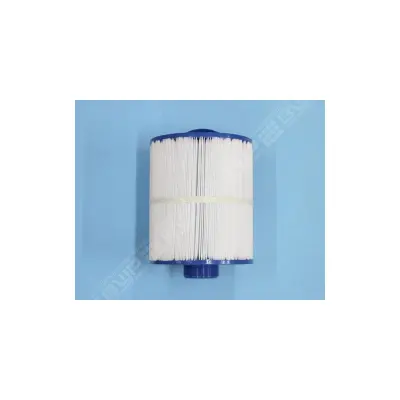 Cartouche Artesian Spas 50 - 203x171/50 - (Pleatco)