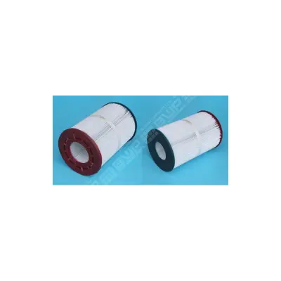 Cartouche pour filtre PTM50 - Ex-WC108-56S2X (STA-RITE)