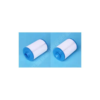 Cartouche Saratoga Spas. Softub. Vita Spas 4CH-20 (Unicel) 