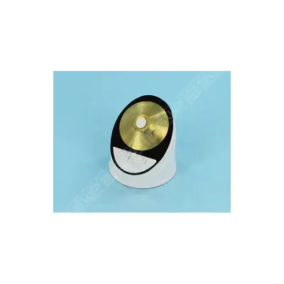 Clapet Anti-Retour FILTRE DE (Perflex. RegenX. RG450/700) -  (HAYWARD)