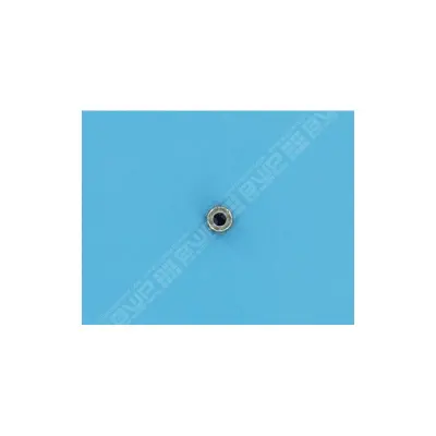 Écrou de vérrouillage. Nylon FNS+ FILTRE D.E. (PENTAIR)