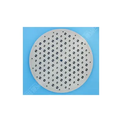 Disque Centreur Supérieur FILTRE DE Perflex EC40/50 -  (HAYWARD)
