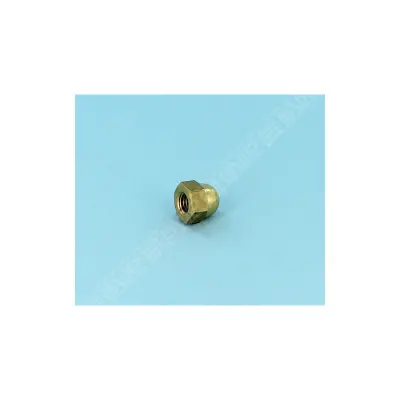 Ecrou Fixation Turbine PPE (America. BPF. BCC. New BCC) - M10 (IML)