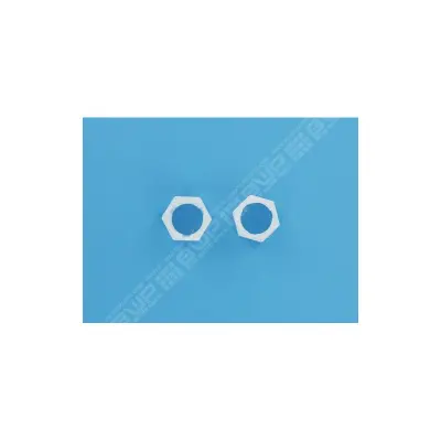 Ecrous De Raccord (x2) Letro Sweep I & Ii - (Pentair)
