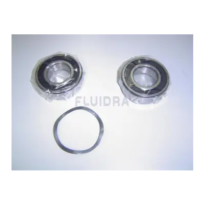 Ensemble roulement type 6205 2RS - 3,5 CV