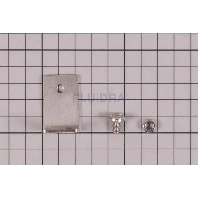 Fixation pour anneau démontable PROJ (ASTRALPOOL)