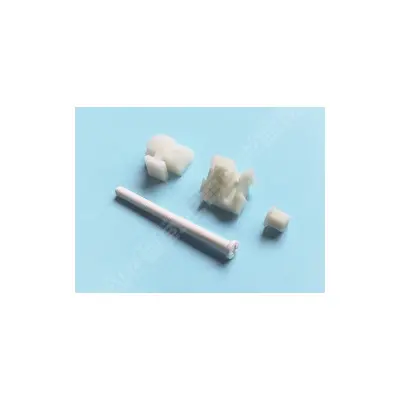 Fixation Projecteur 56255IP021