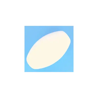 Flotteur Oblong - Grand (Letro Sweep I & Ii)