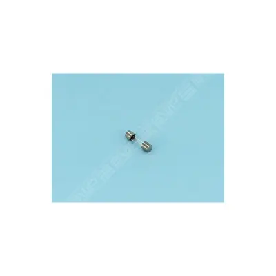 Fusible 3.15A (ZODIAC)