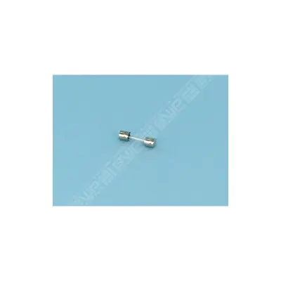 Fusible 500 mA T (Zodiac)