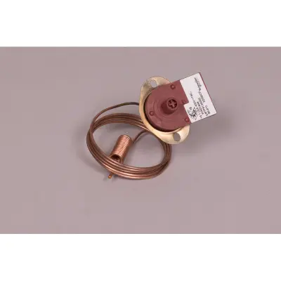 Interrupteur thermique manuel