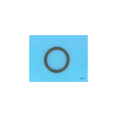 Joint Ampoule PROJ Eurolite SP0512 Ø ext 120 mm - Ø int 95 mm -  (HAYWARD)