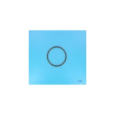 Joint Ampoule PROJ Halog.100W - COFIES (HAYWARD)