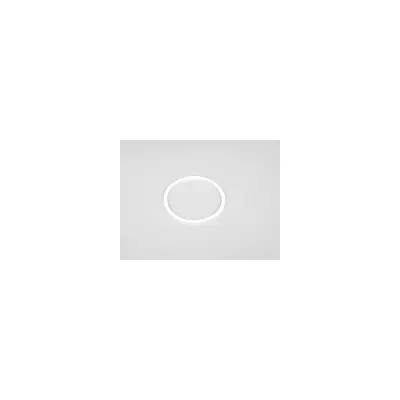 Joint Ampoule PROJ Pisc.Hors-Sol 50-75W -  (ASTRAL)