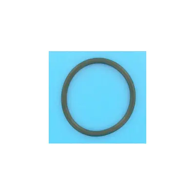 Joint Ampoule PROJ (WELTICO)