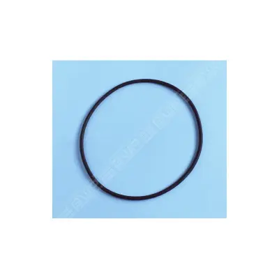 Joint couv FILTRE SAB et joint de corps PPE MAX FLO 2 (HAYWARD)