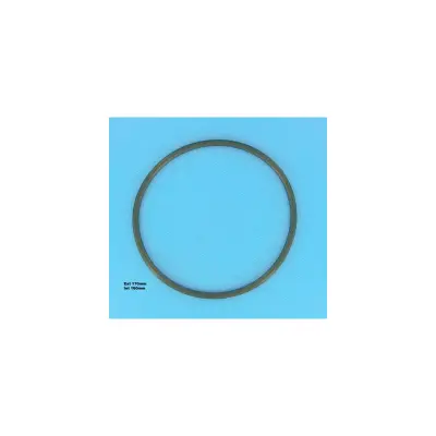 JOINT COUVERCLE VITON (Chlor  HAYWARD)