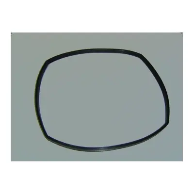 Joint de corps de pompe 228X5 PPE Astral Glass Plus (ASTRAL)