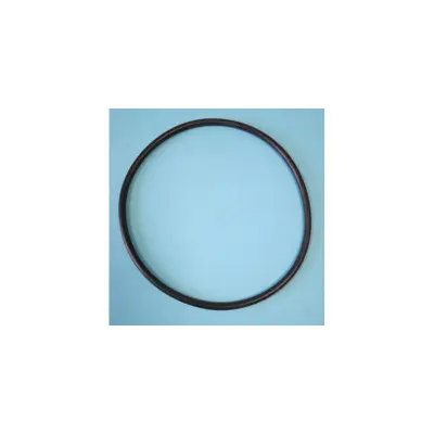 Joint de corps pour PPE MCB, MCQ, MNB et de couvercle pour PPE MJB - Ø int. 167,4 x ép. 6,3 mm (ACIS)